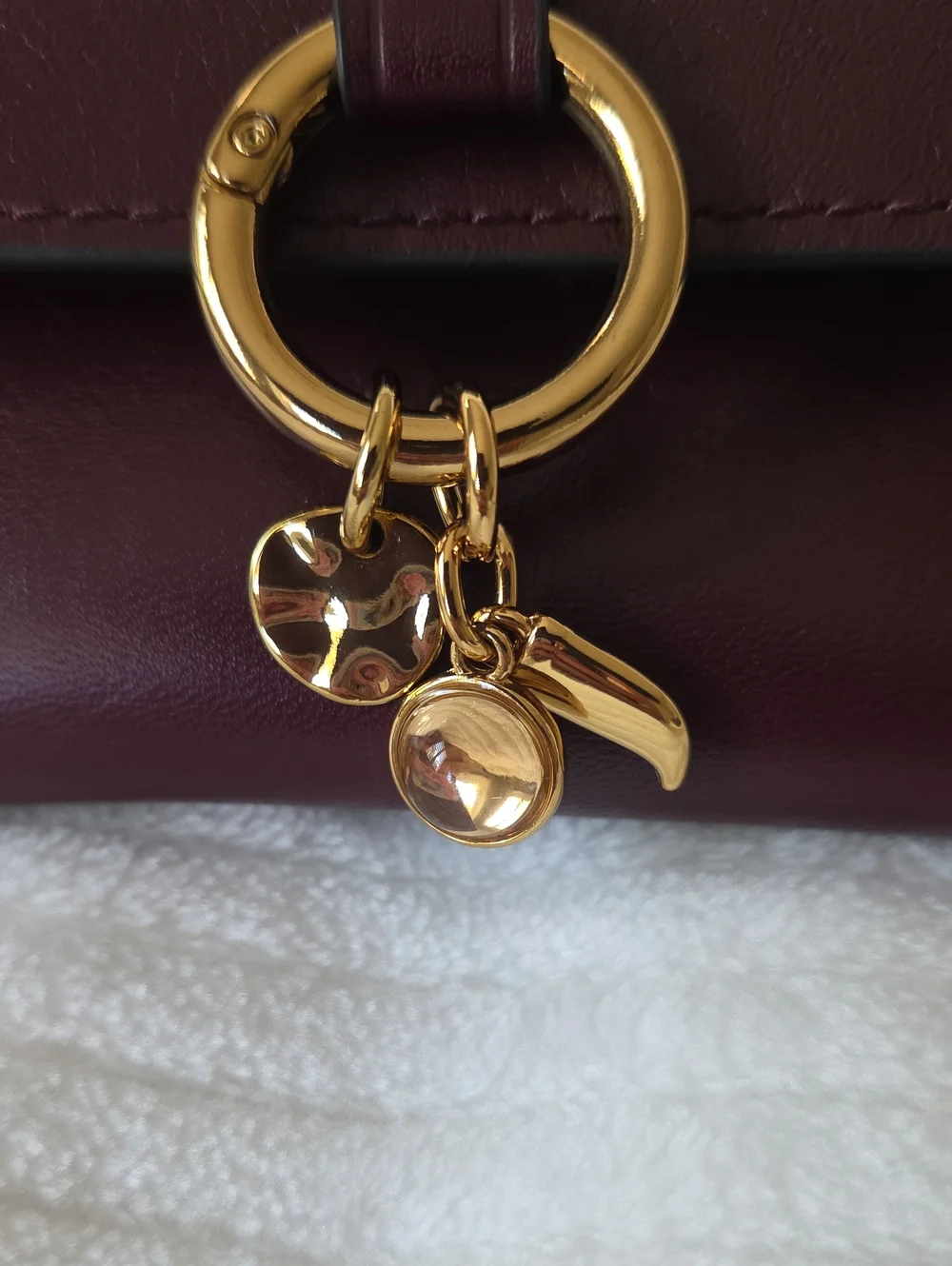 Madewell The Ring Charm Wallet In Sangria